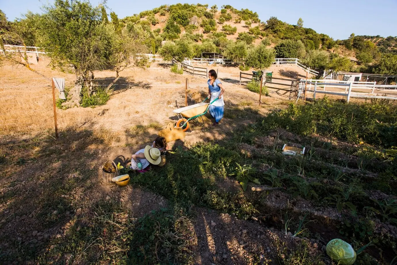 Mujer y su hija trabajando en el campo.